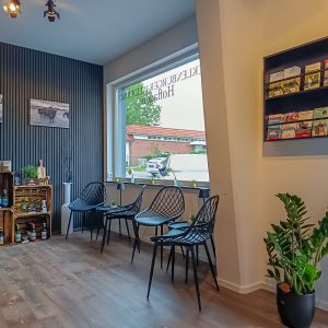 Mecklenburger Weiserind Verkauf Wohnmobilstellplatz stralsund (1)